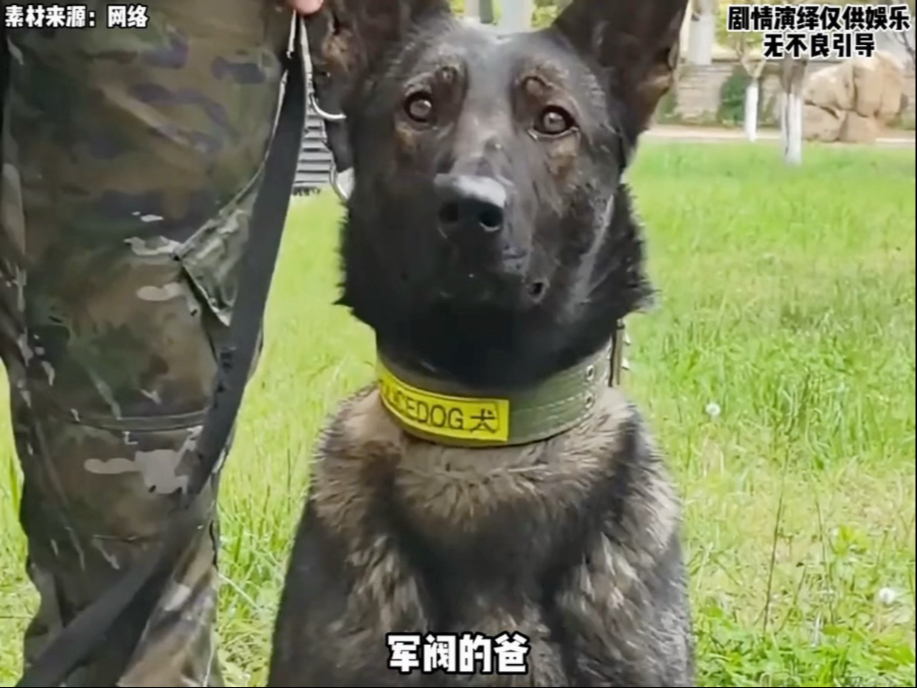 军阀的爸 黑道的妈 从政的孩子 无敌的家