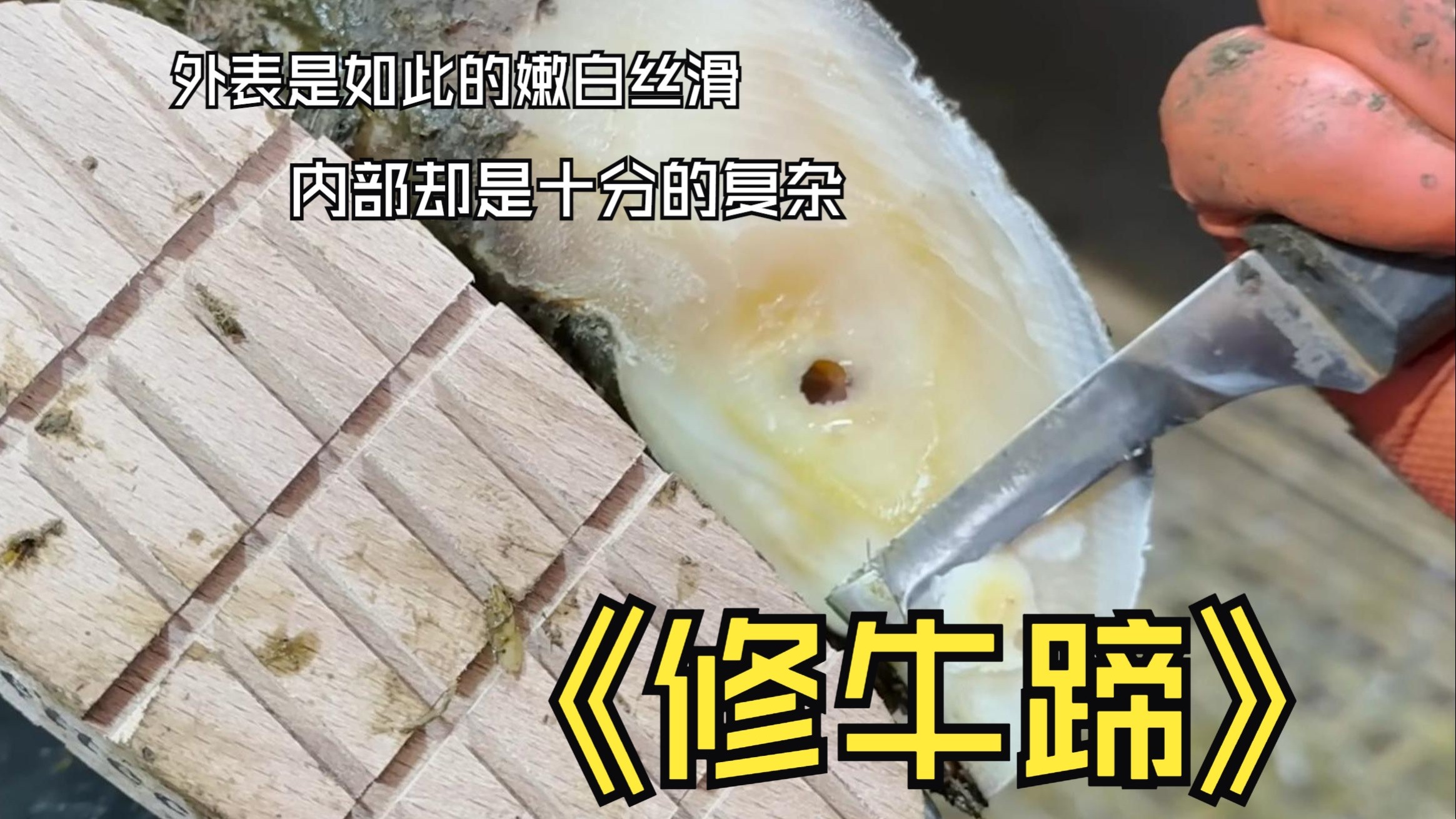 男人减速带，解压修牛蹄！