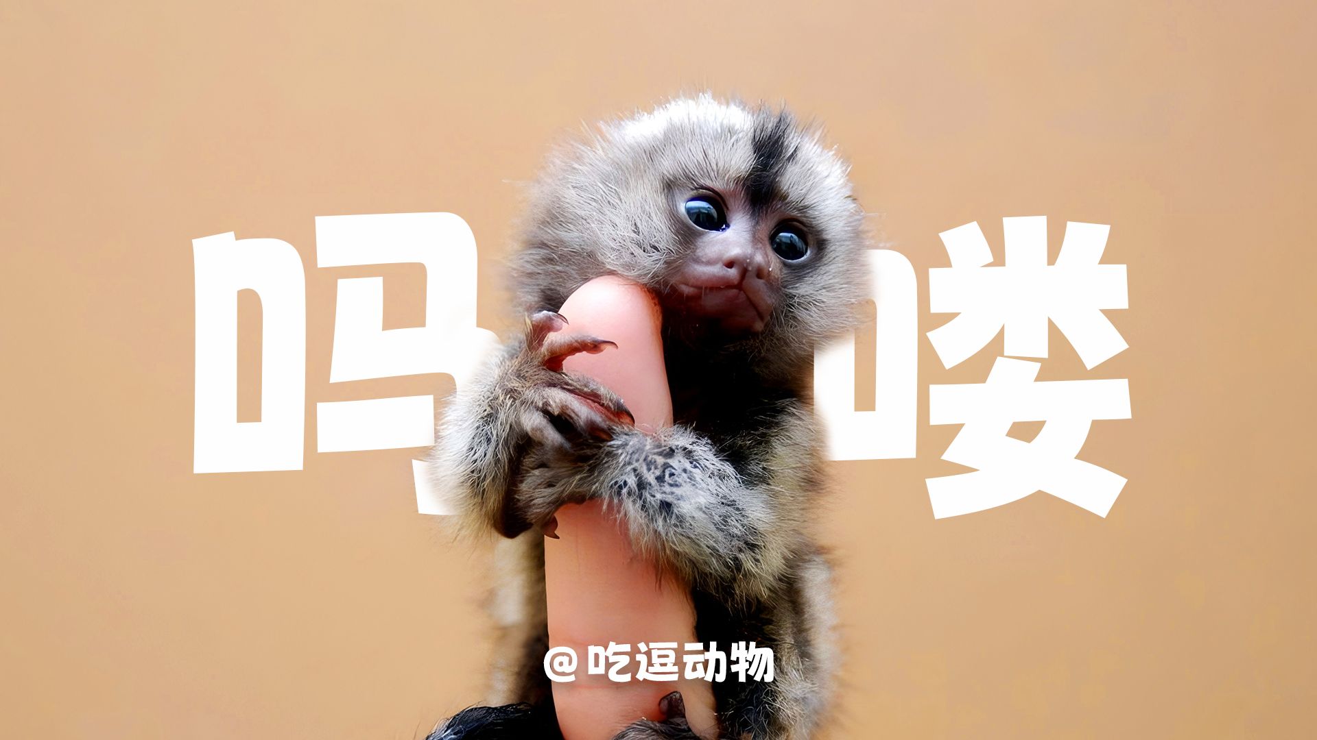《 身残志坚，色胆包天 》