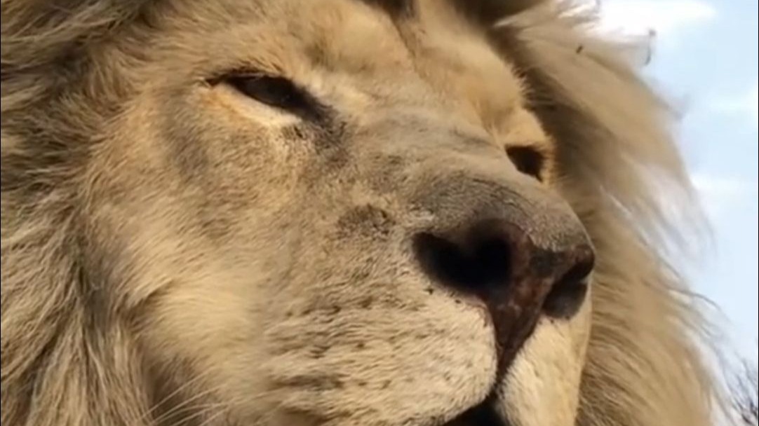 他好像知道自己很帅