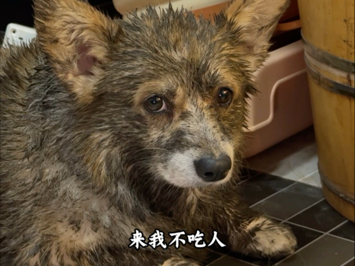 科技改变生活，科技也能改变生活！