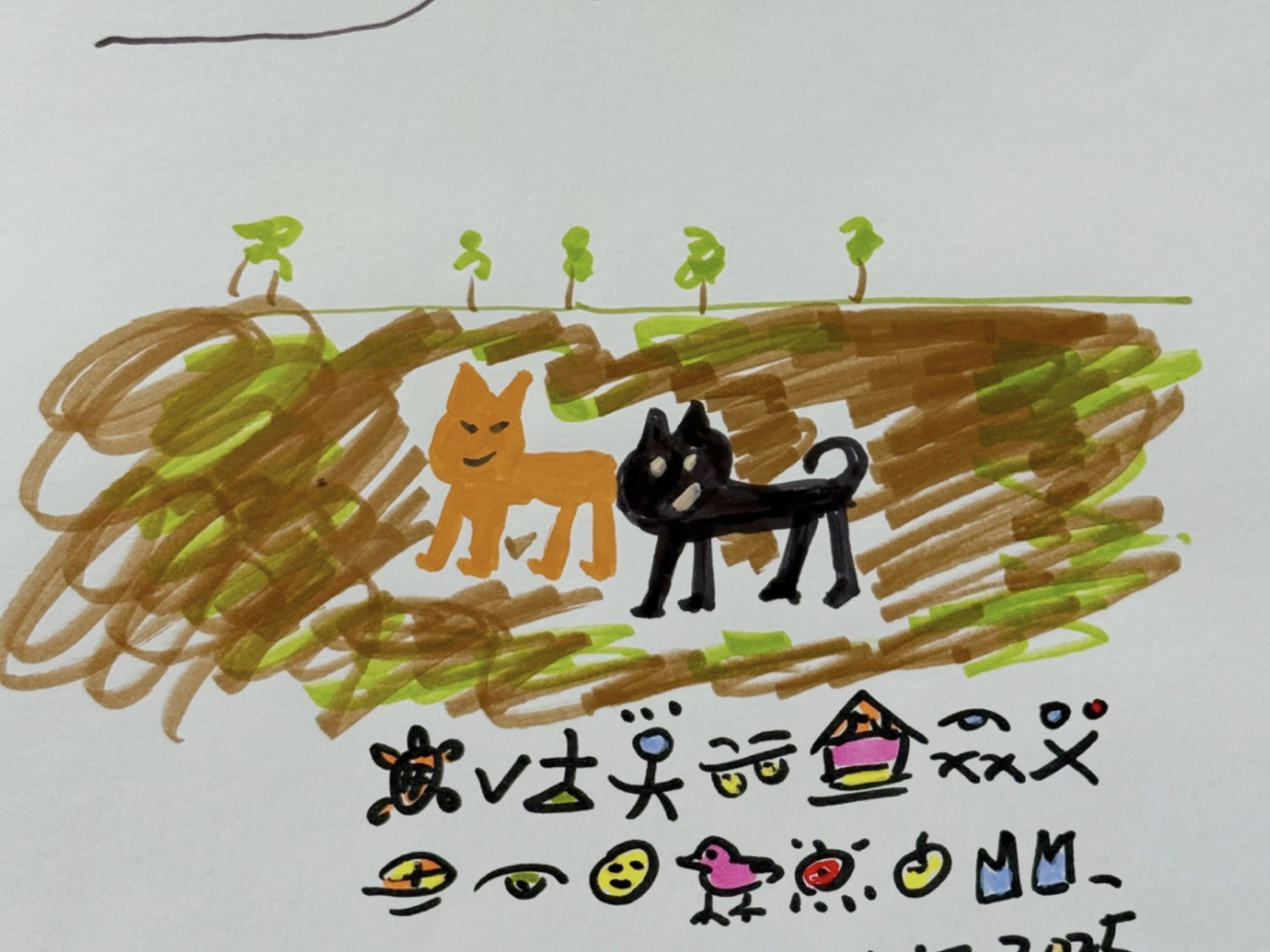 【张戴夫要疯】视频已打包，欢迎围观！