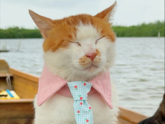 船员们最近的纪律有些松散，不是摸鱼就在打瞌睡