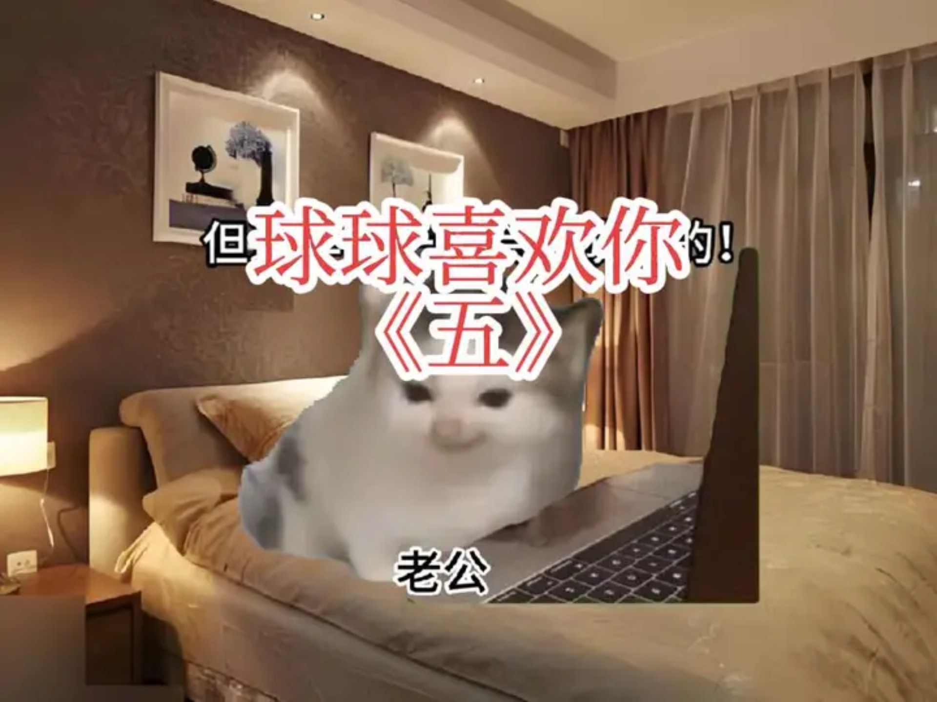《球球喜欢你》第五集