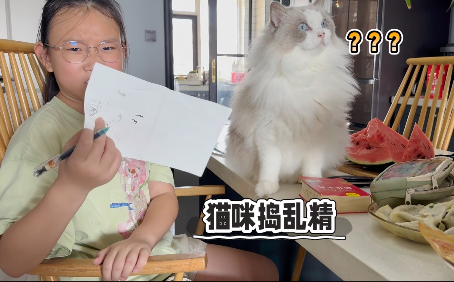 小主人包书皮，大老猫又来捣乱了：你走了我这一天八顿饭怎么办？