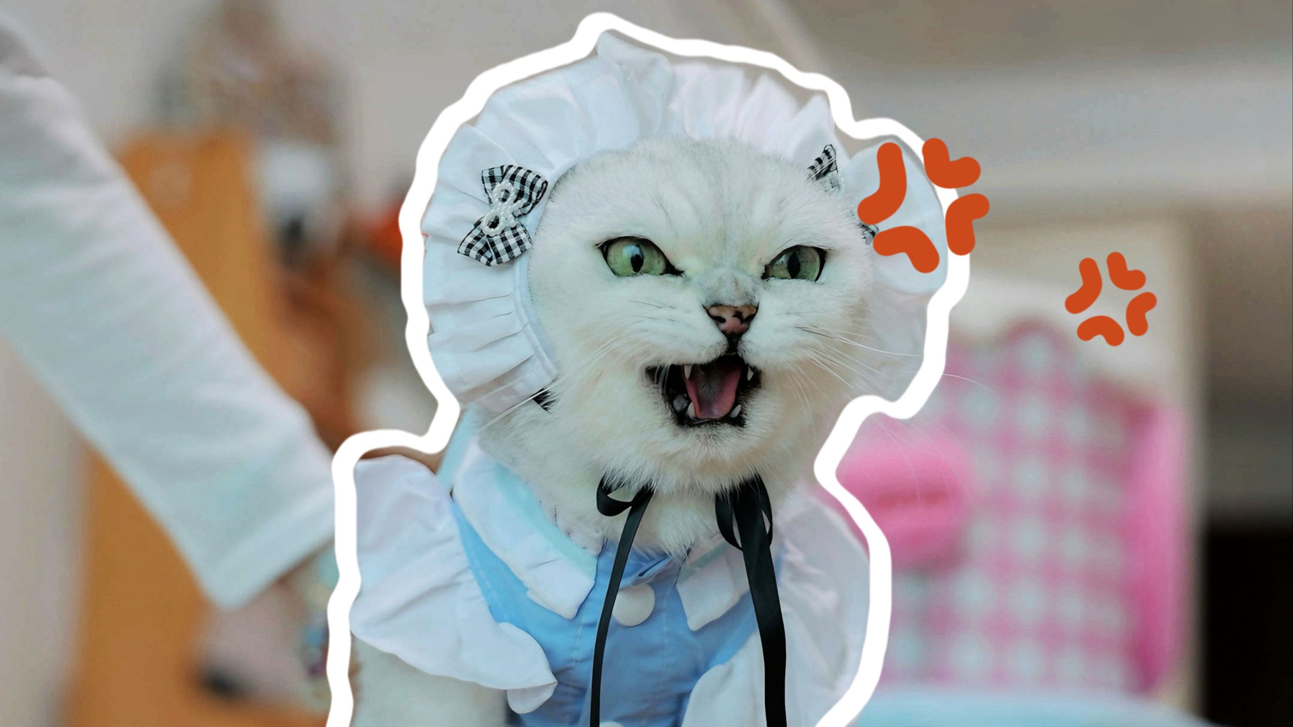 “我是你的猫女仆，很不高兴为你服务！”