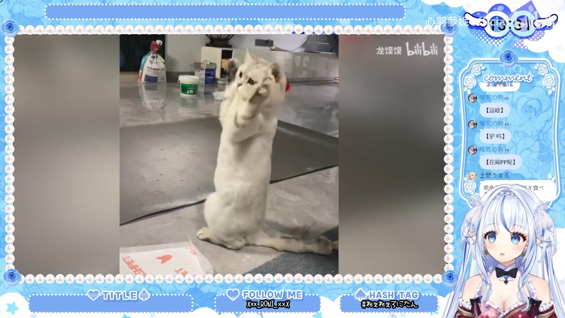 【心羽萝妮】日本水精灵看《动物迷惑行为大赏260》看懵