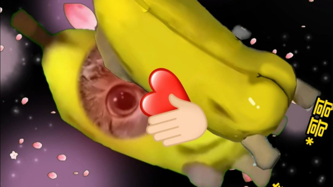 我的哥哥有点靠谱？1+2