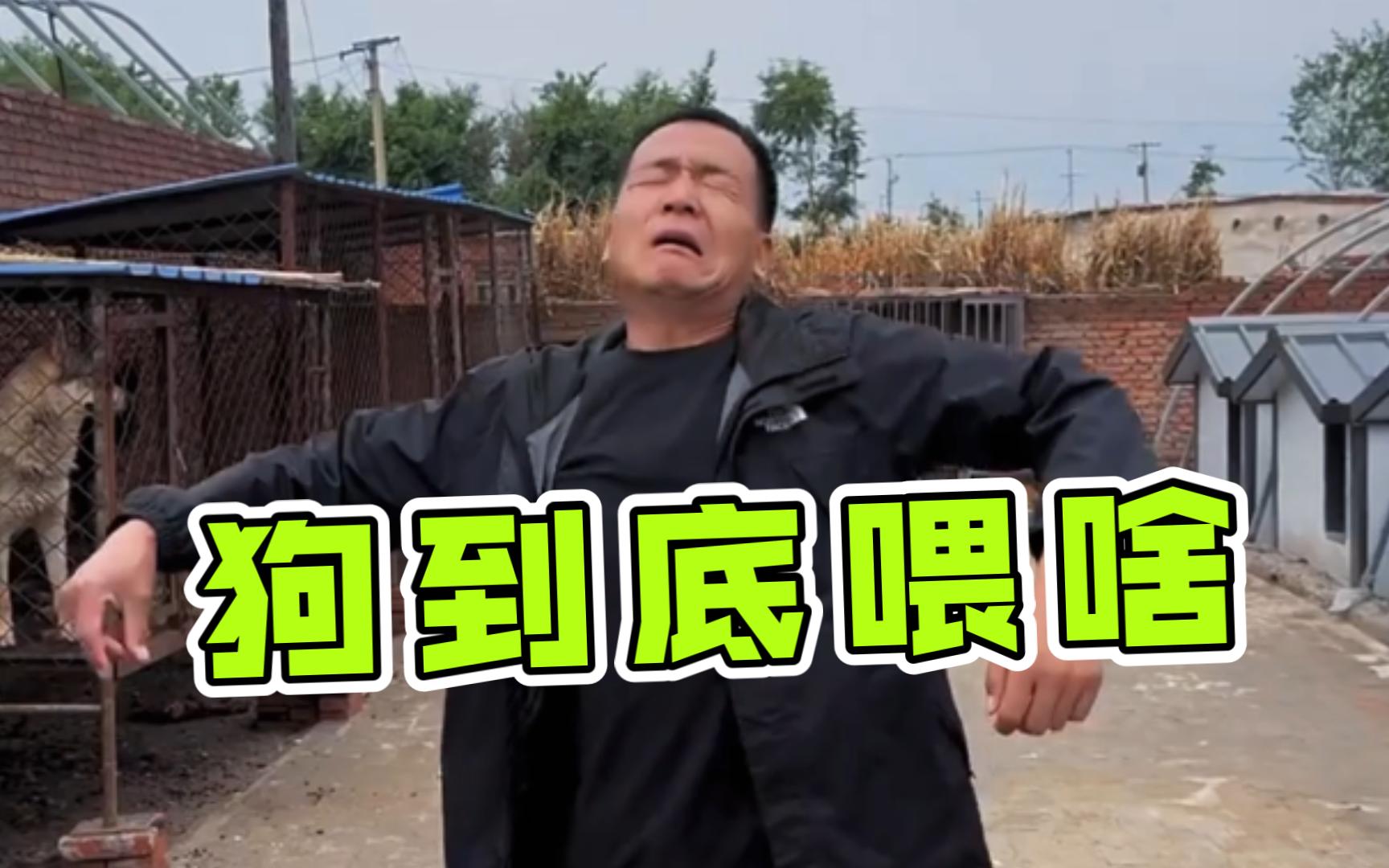 潘宏告诉你狗到底喂啥！！