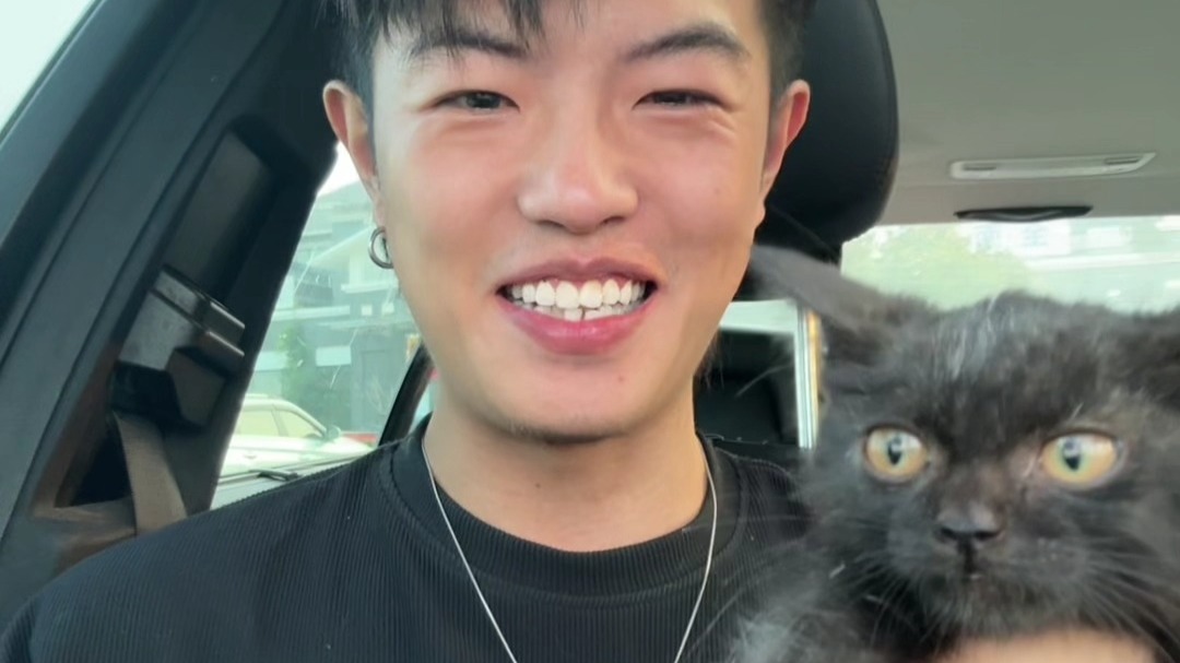 青春没有售价，救猫救狗名扬天下！