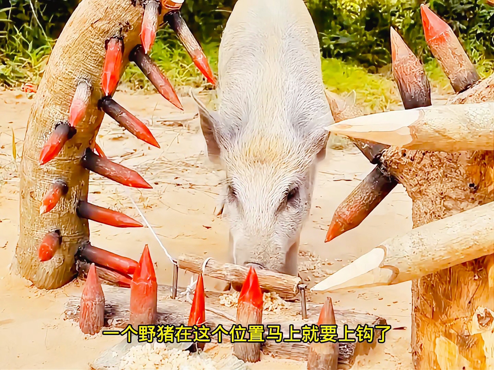 这个陷阱形同虚设，不知道是谁想出来的，完全没有效果