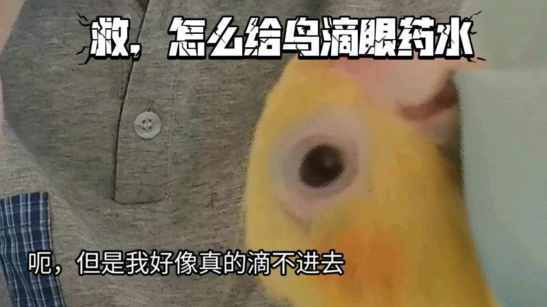 来人救救我（手足无措）