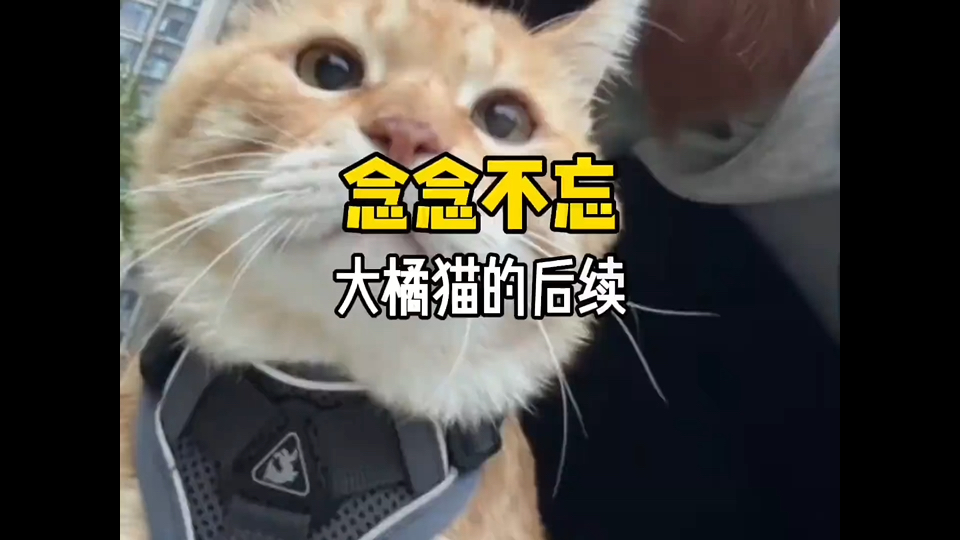 “念念不忘，必有回响。”