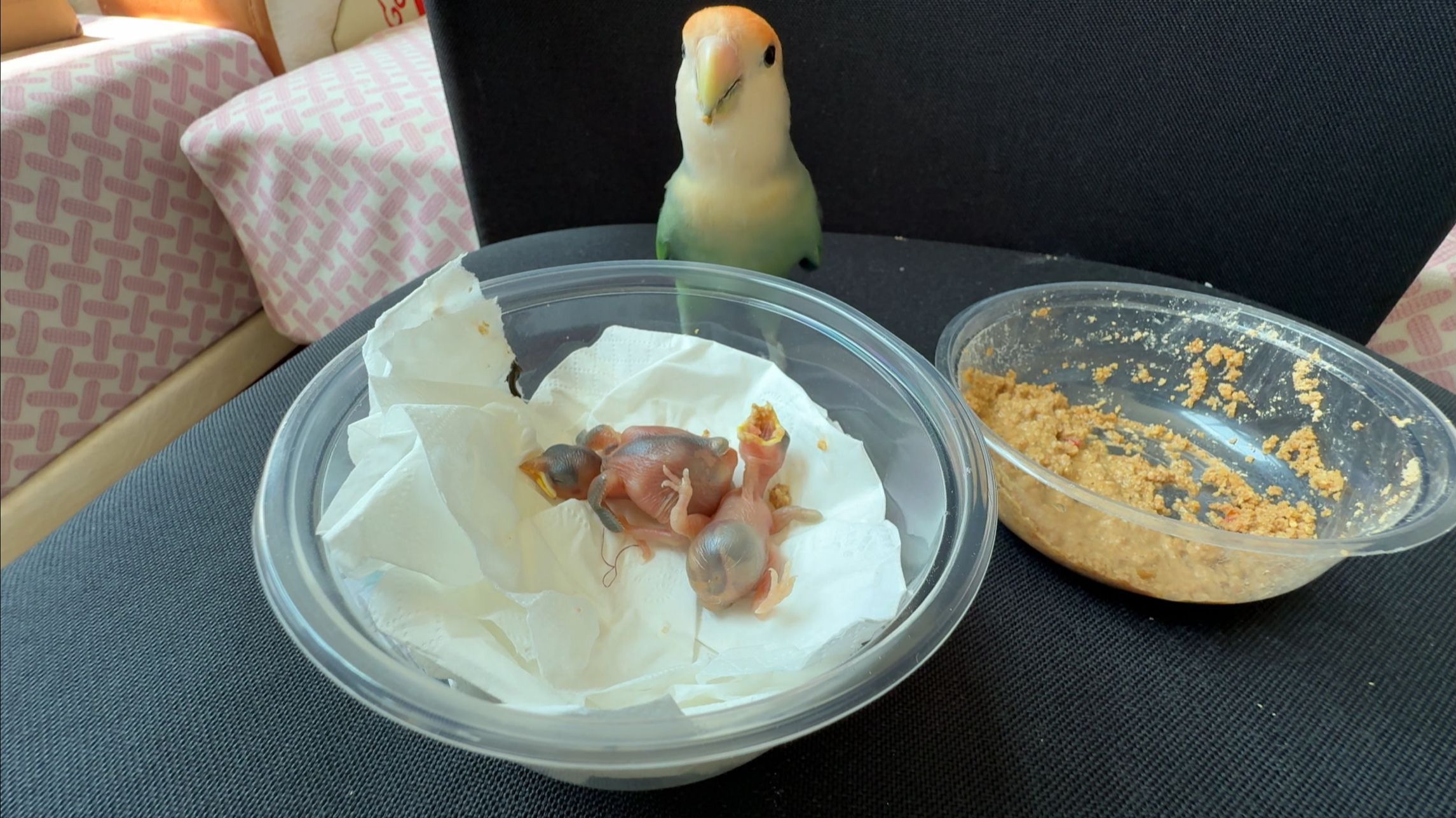 难得你温柔一次