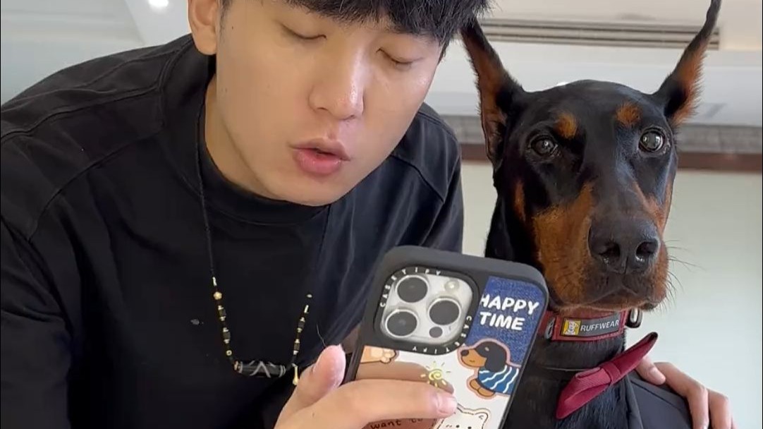 当总裁爆改茉莉大公主…