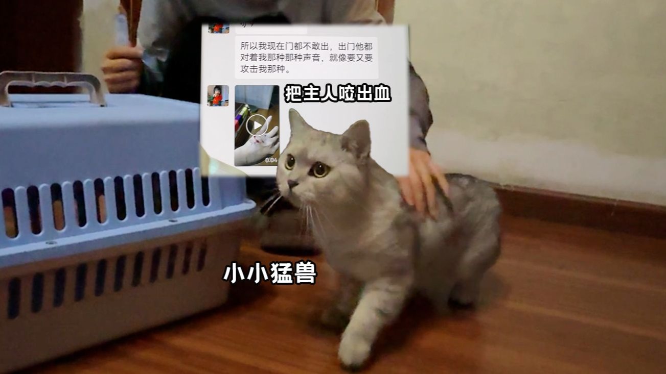 今天算是去救人的，顺便救一只猫。大家觉得这猫为何突然发狂？