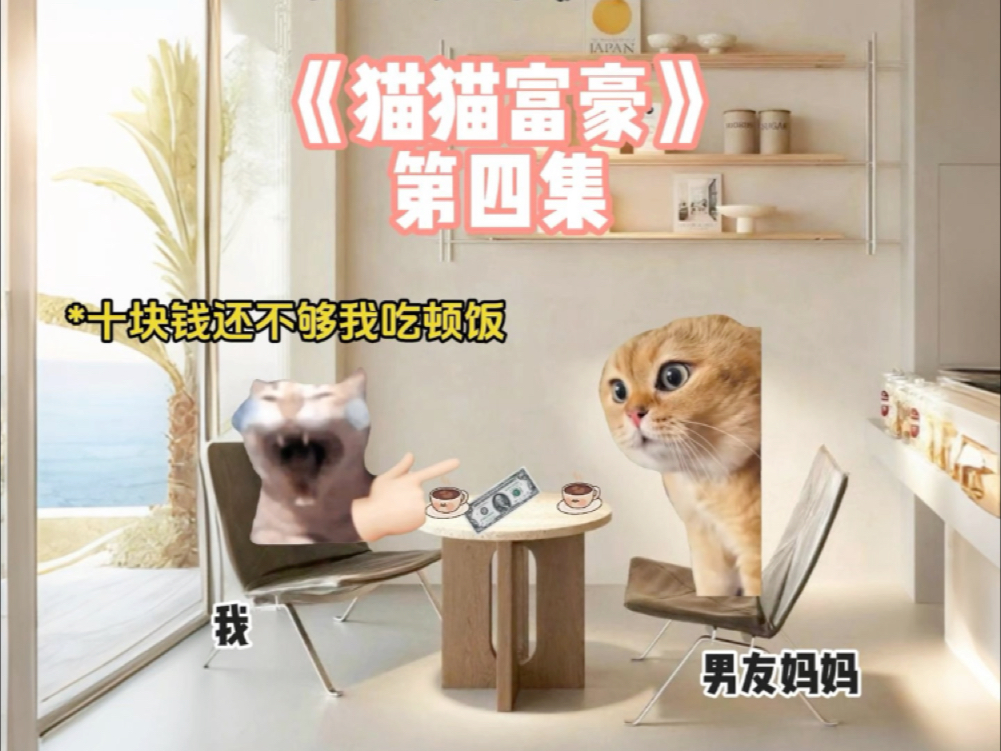 《猫猫富豪》第四集