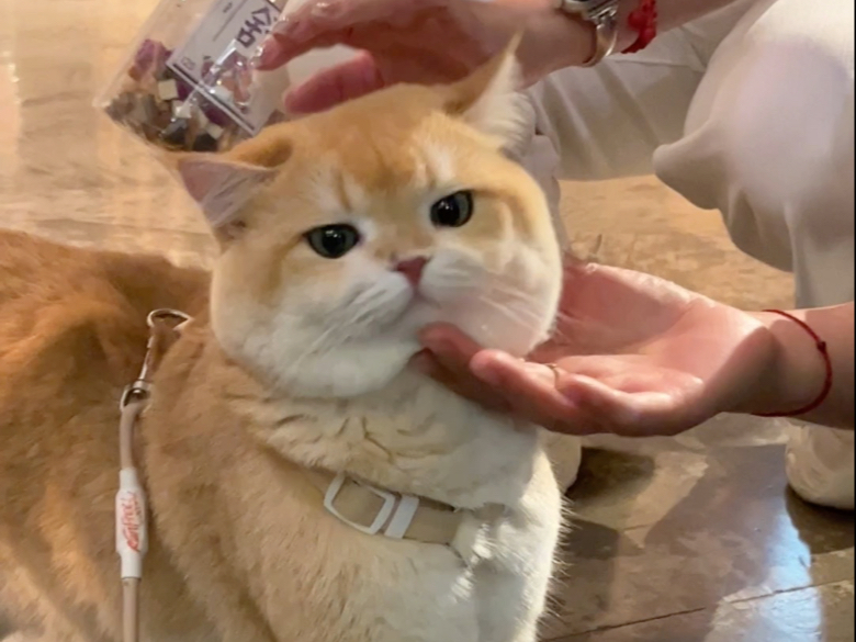 全国巡遛｜广广：长春的姨姨蜀黍好热情～