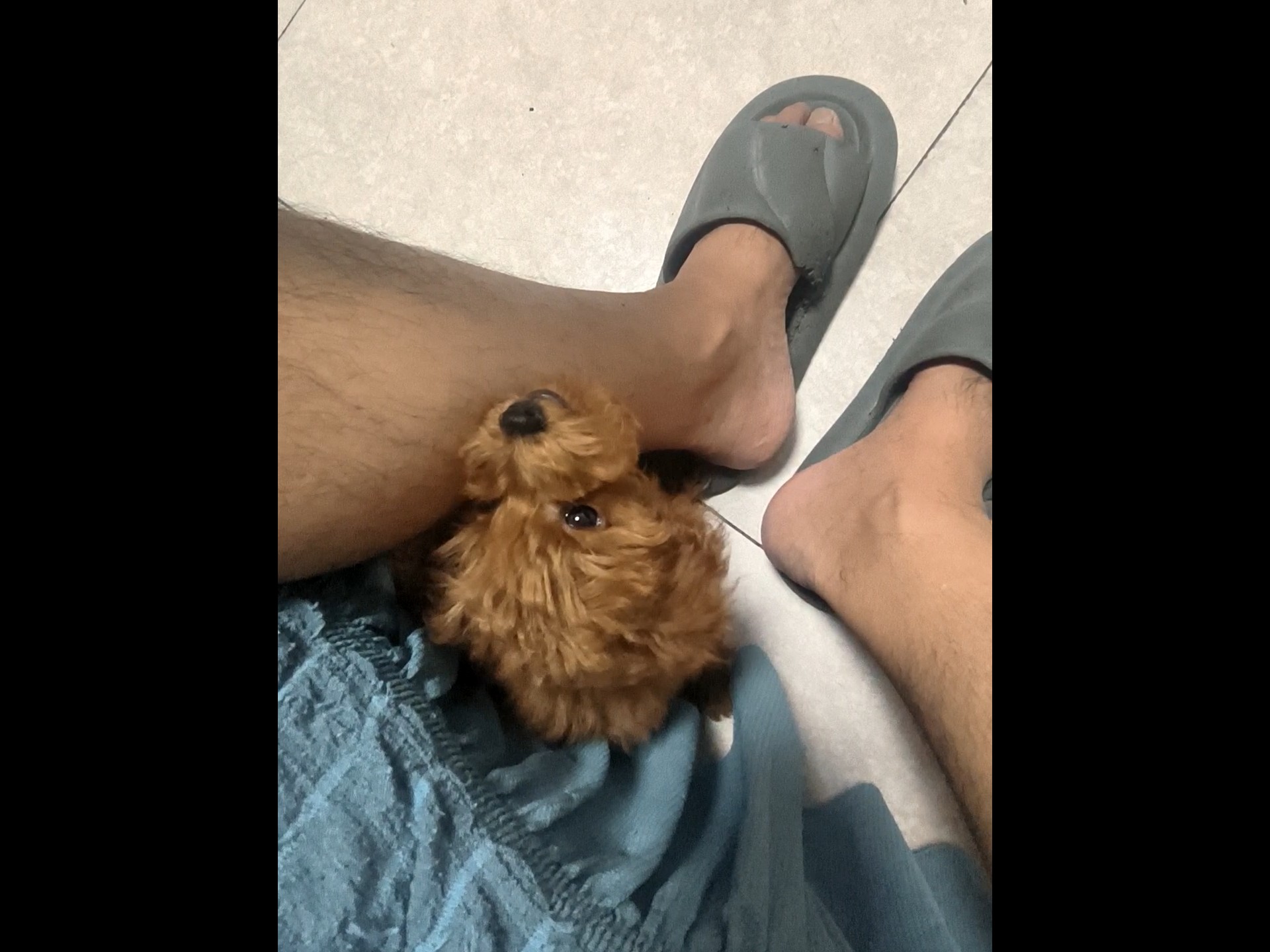 开心到家第43天