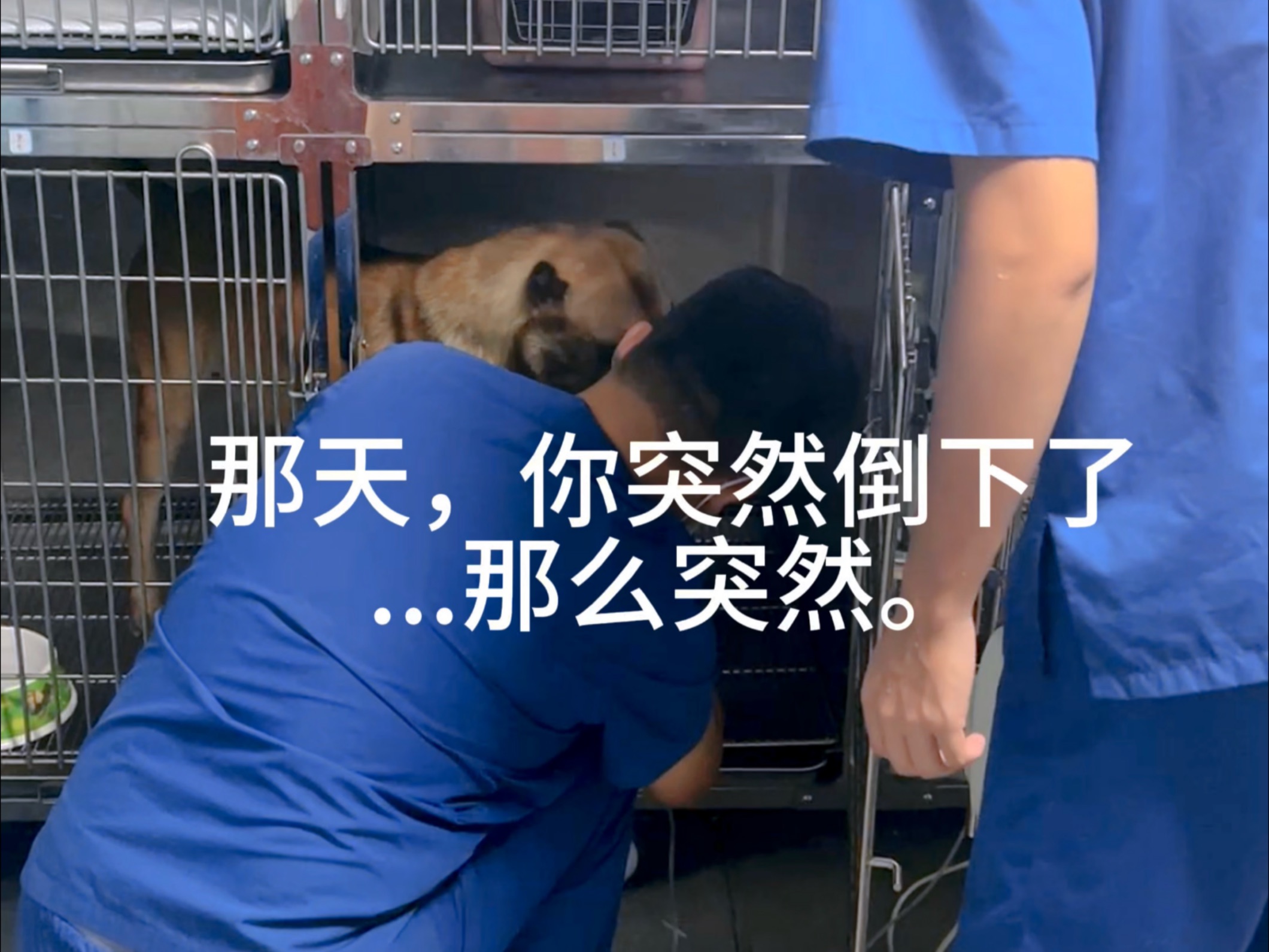 这是个悲伤的视频 也是天赐最后一个视频