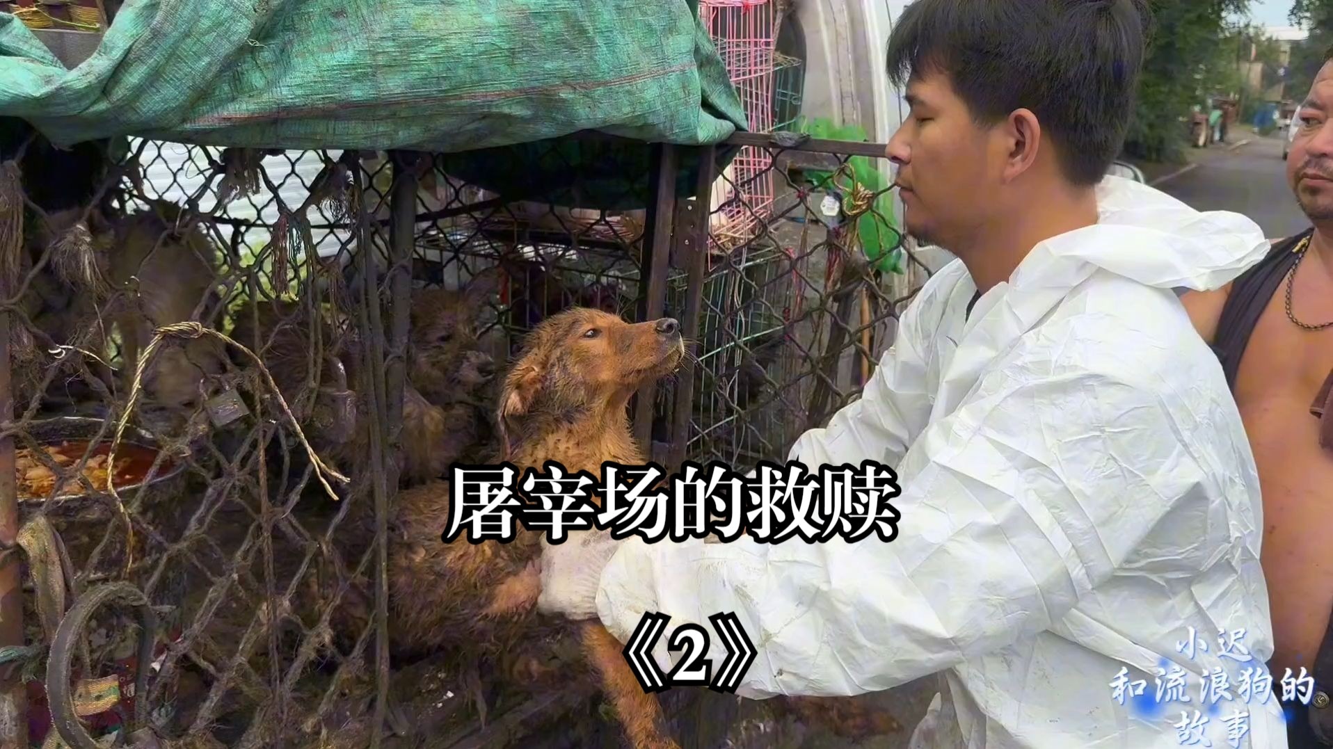 屠宰场的救赎《2》