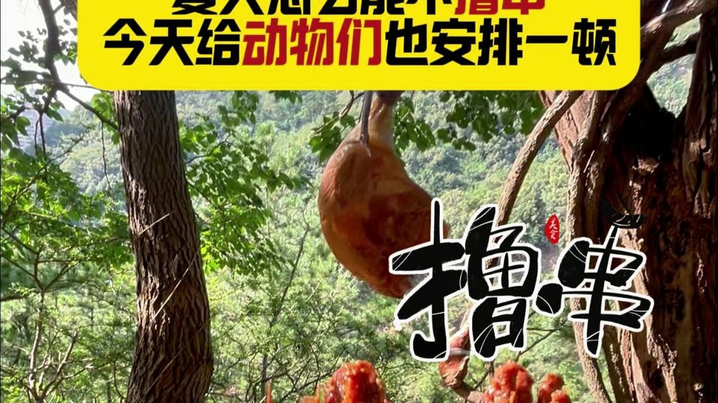 Day130 | 夏天怎么能不撸串！