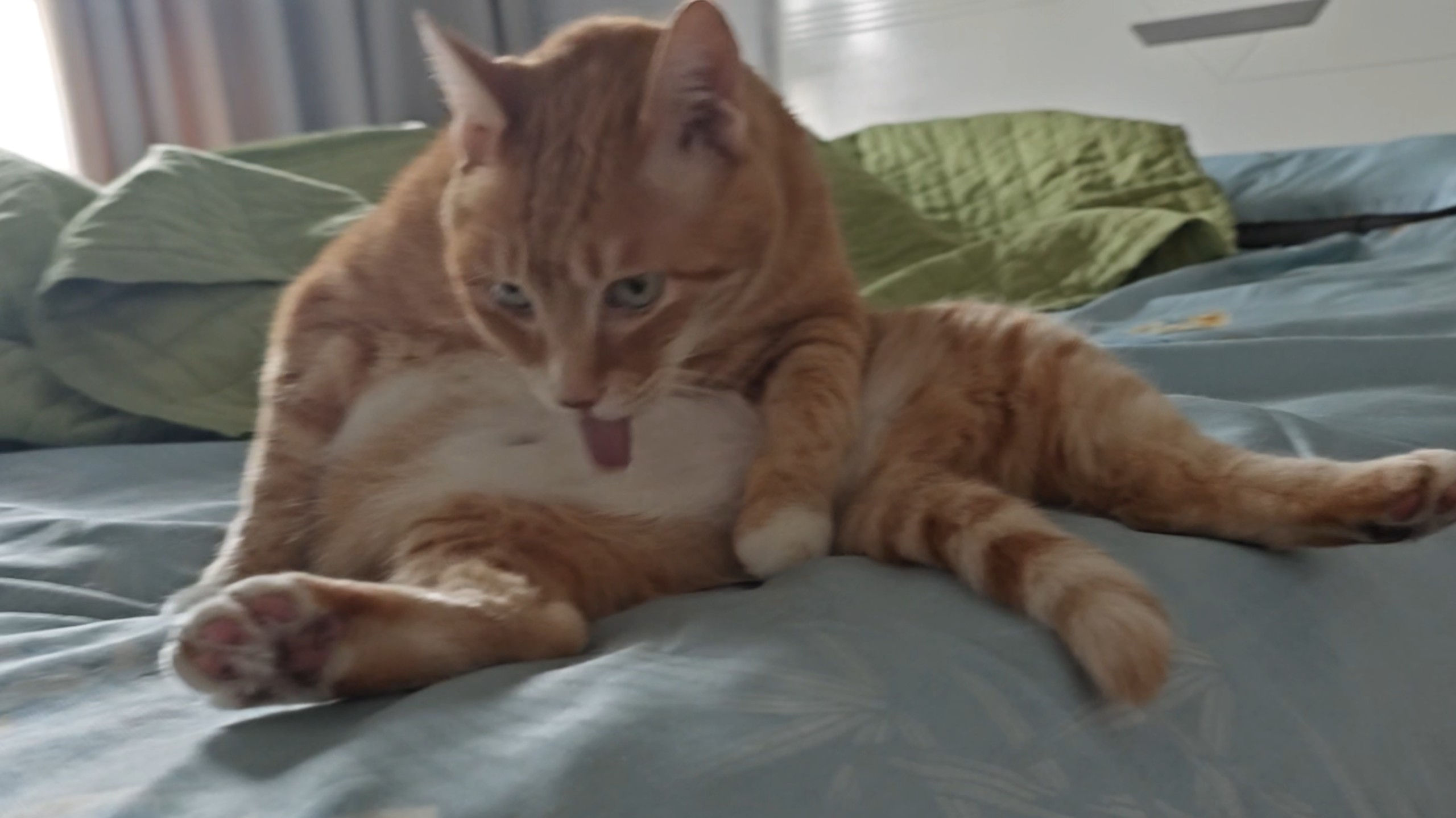 孩子大了 会自己打码了