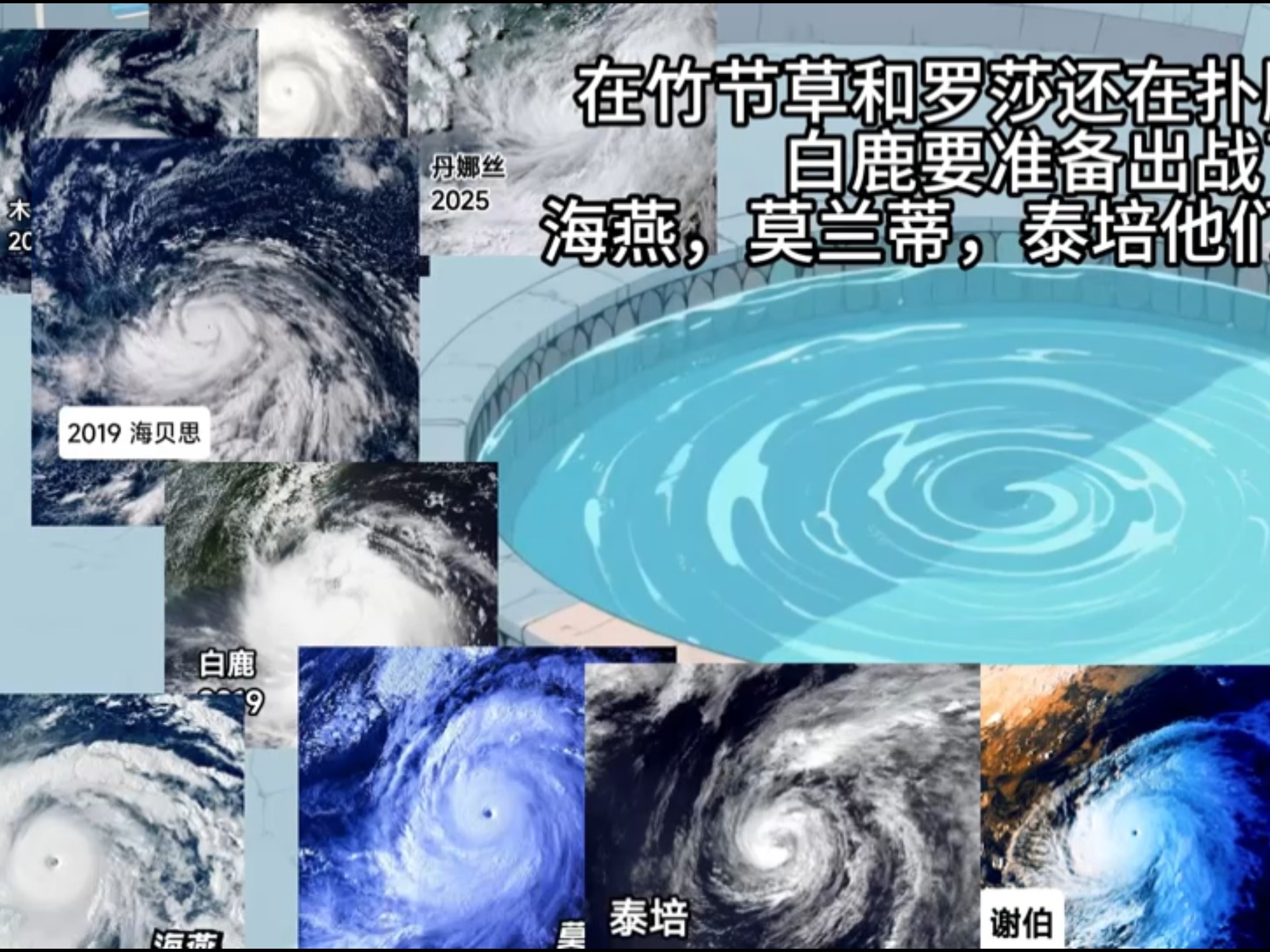 台风小剧场2025届正式篇7【白鹿，明明水的是你，为什么挨打的是