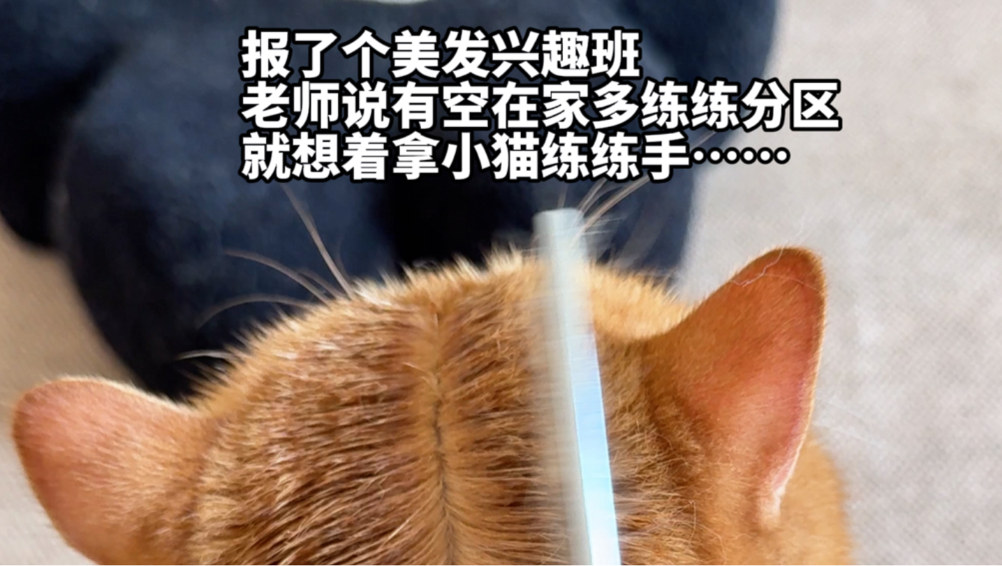 背面一般，正面绝了…