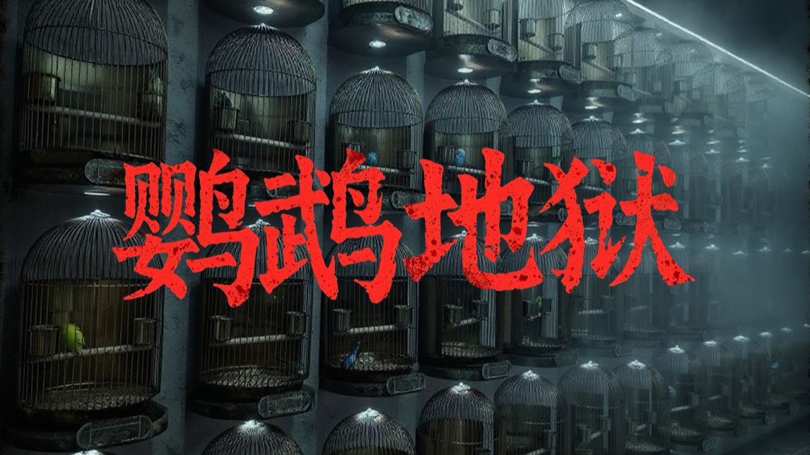 资本构筑的鹦鹉地狱，值得所有养鸟人反思