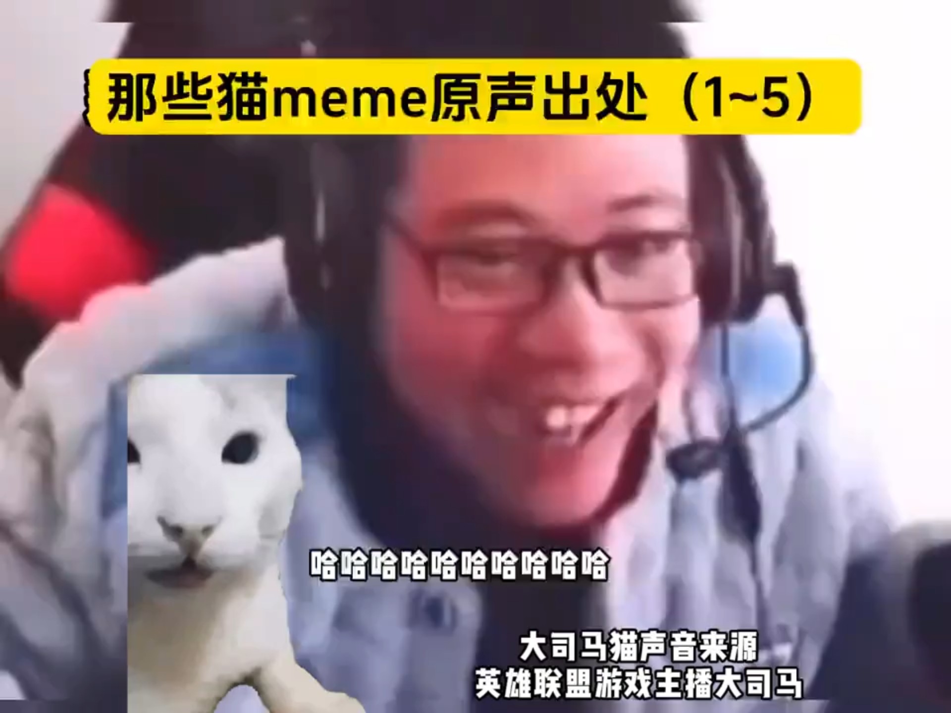 猫meme表情包原声出处