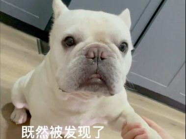 为什么有种做贼心虚的赶脚？
