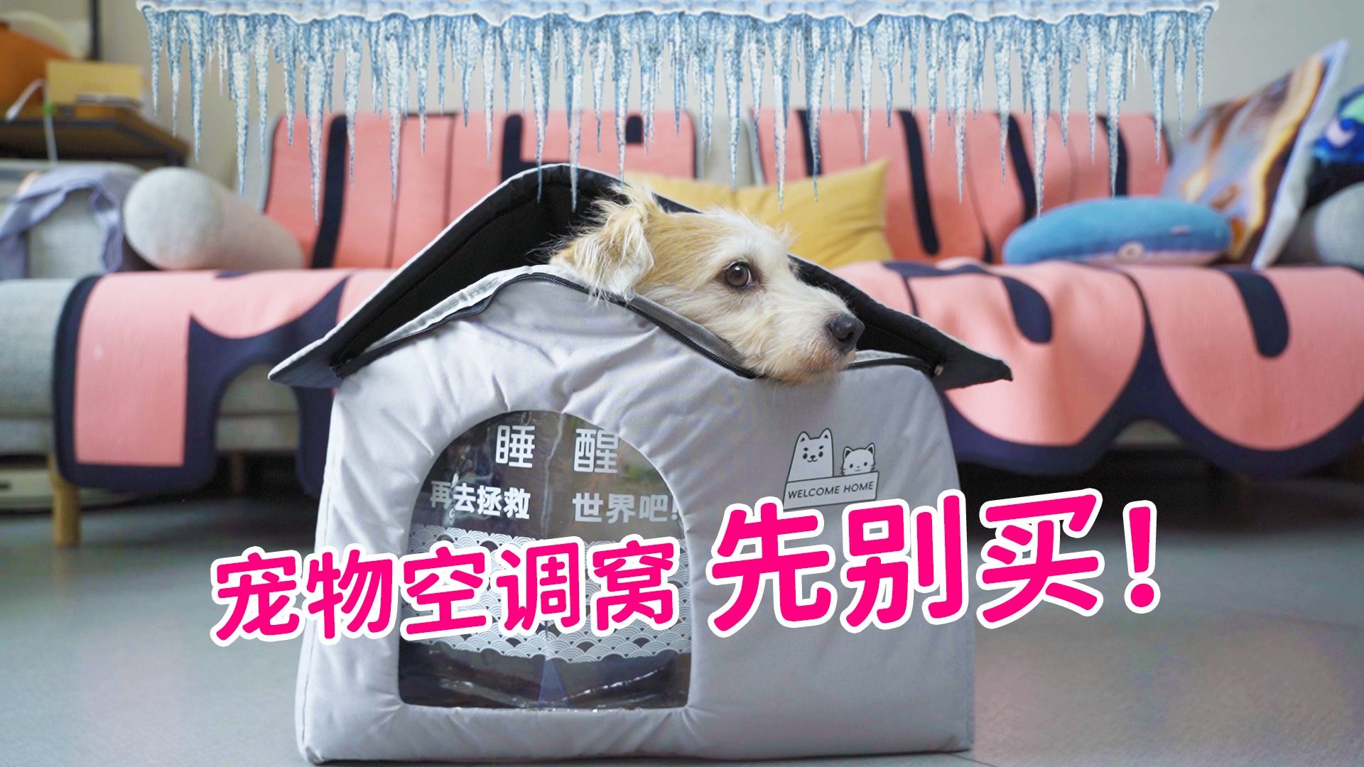 有了宠物空调窝！ 整个夏天0电费？