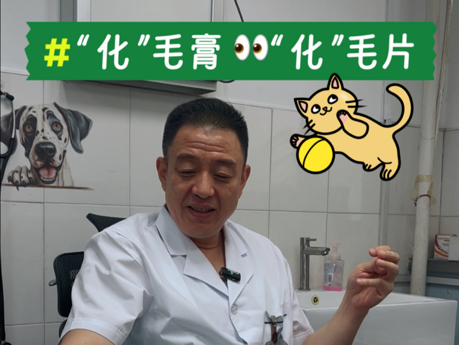 “化”毛膏，“化”毛片