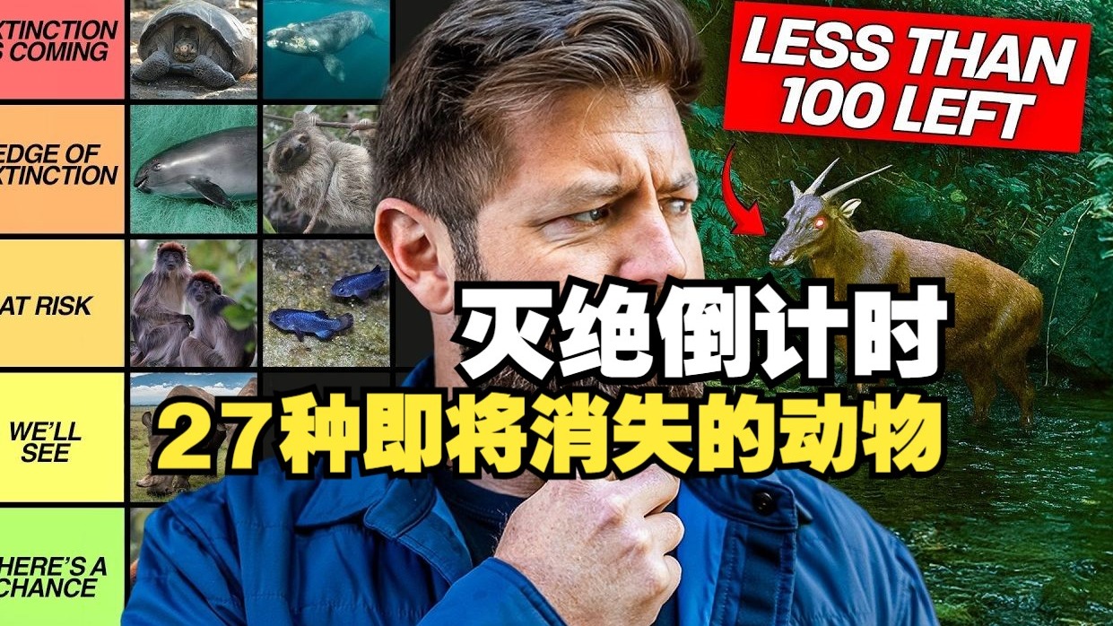 泪目！27种正在消失的神奇动物，最后看一眼【濒危动物图鉴】恒河