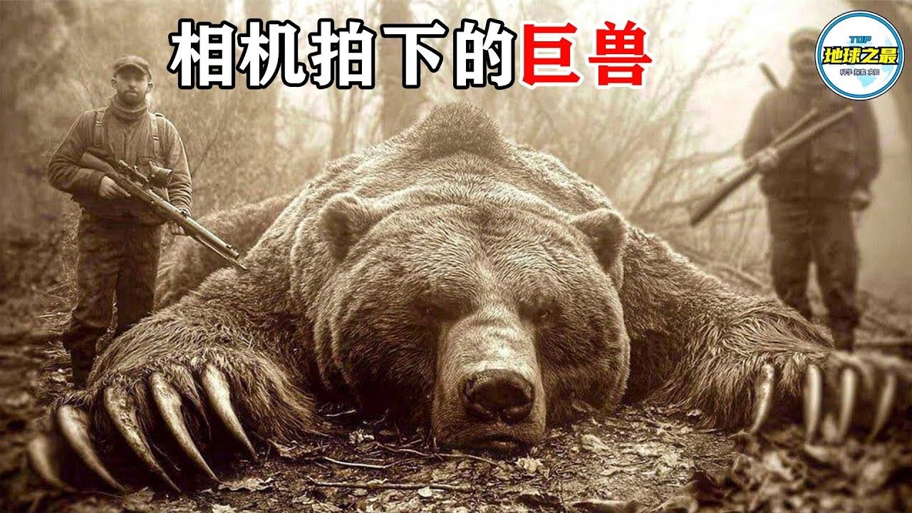 罕见影像曝光！相机记录下的 15 种巨兽，它们真实存在于地球各地
