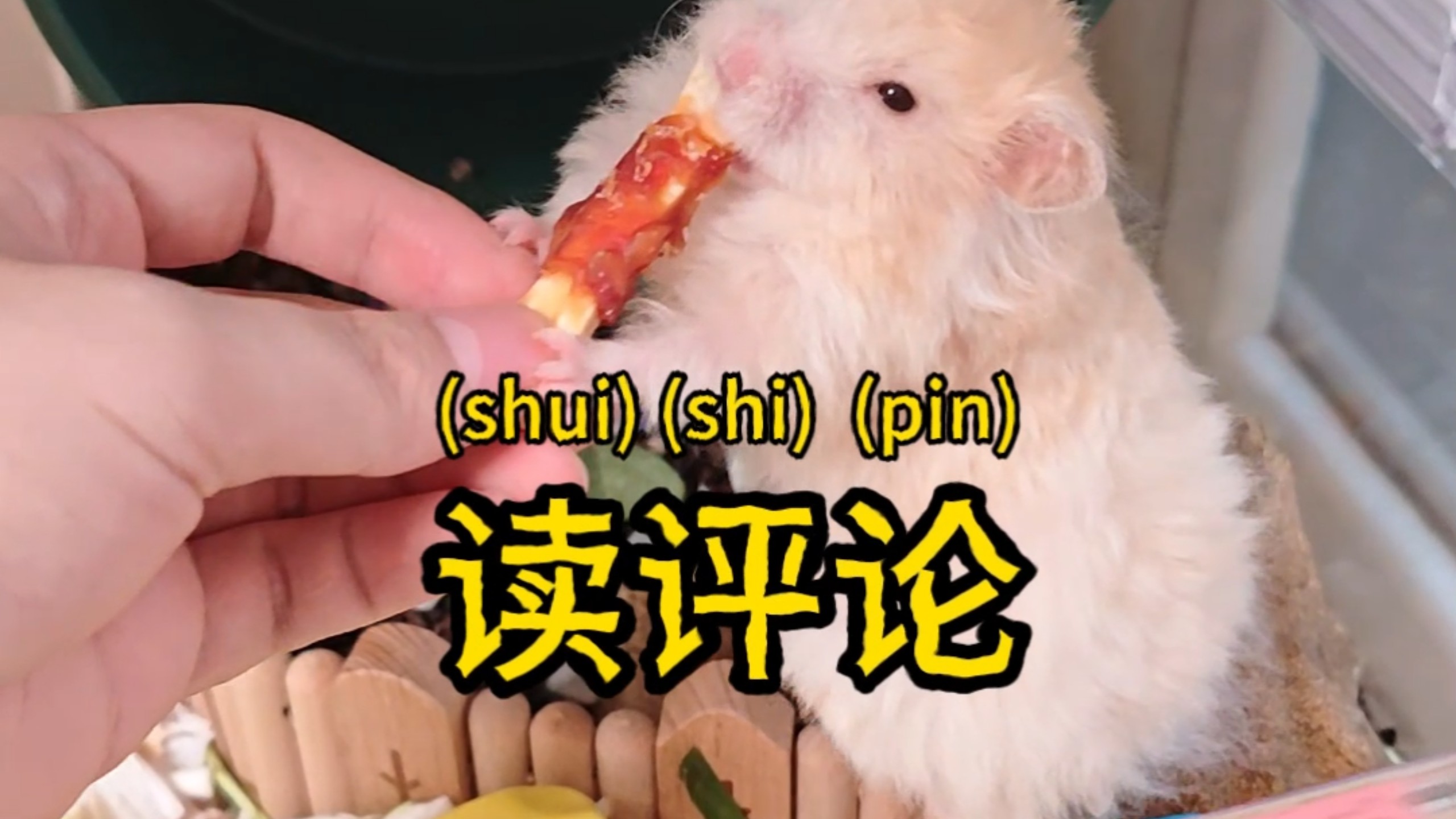 我来水视频啦！