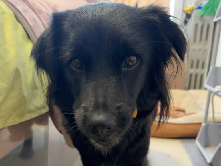 你可能不认识我，但你一定刷到过我的身世揭秘～很多人都好奇汤圆