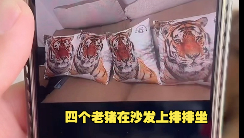 25.9.2虎虎们的周边新品图透来咯！