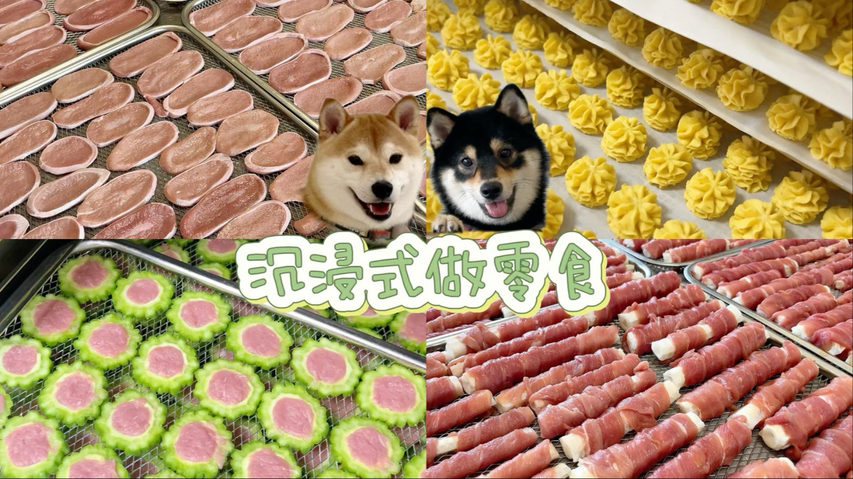是谁家小狗的零食一个月不重样！