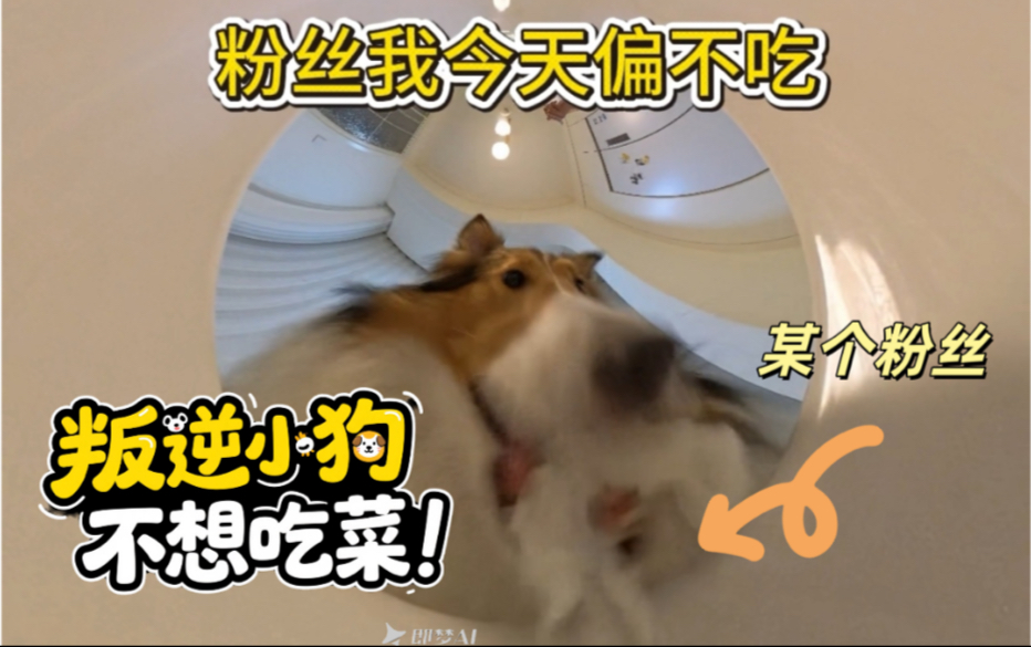 粉丝我今天偏不吃！