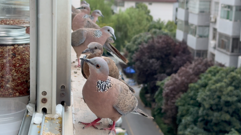 回老家了，发个库存