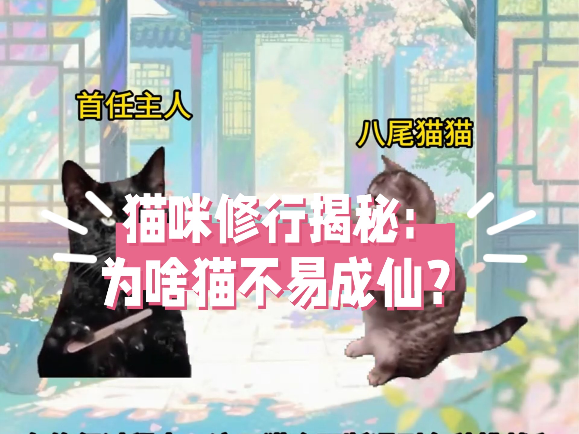 【猫meme】猫咪修行揭秘：为啥猫不易成仙？