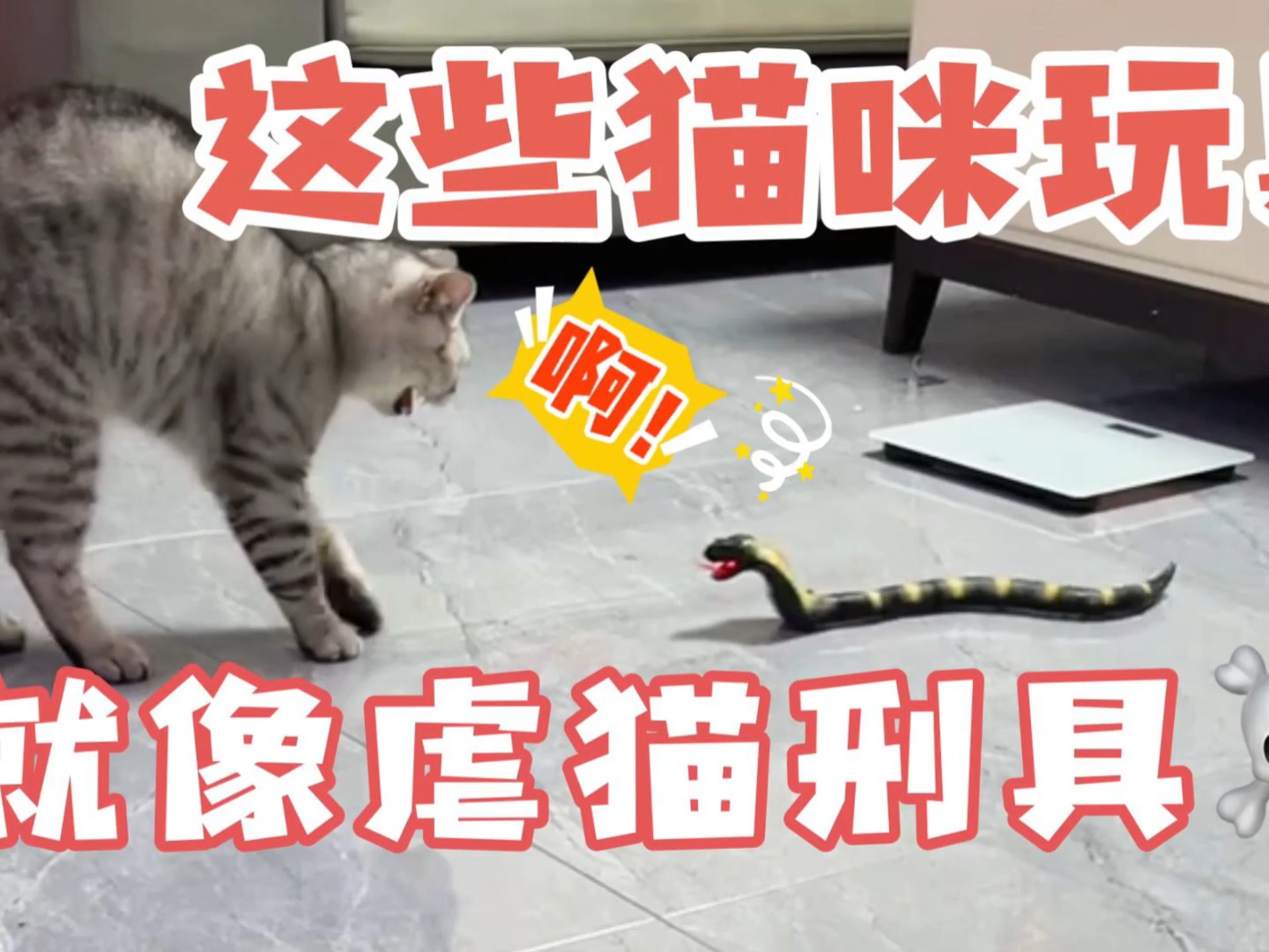 这是什么？这不是虐猫的刑具吗？
