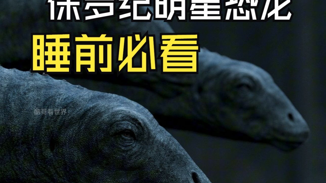 想睡觉的同学有福了，一起来看小恐龙