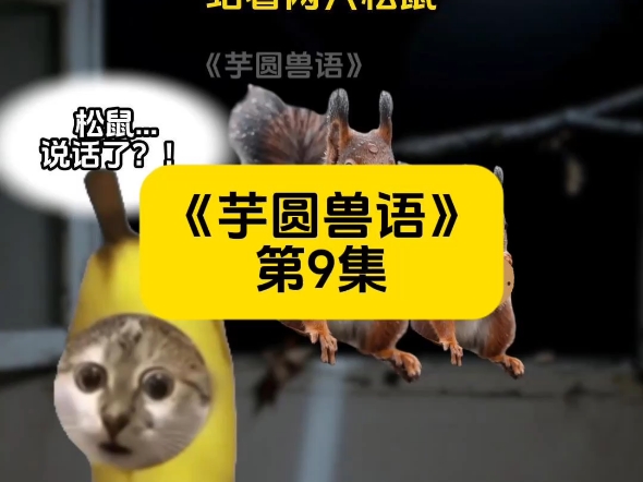 第9集，起猛了，我居然听见松鼠说人话了？