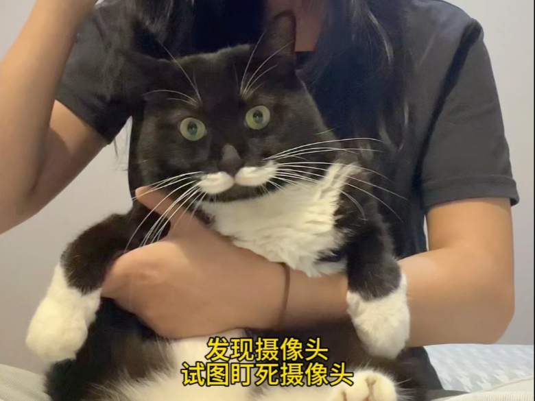 小姨转正的血泪史