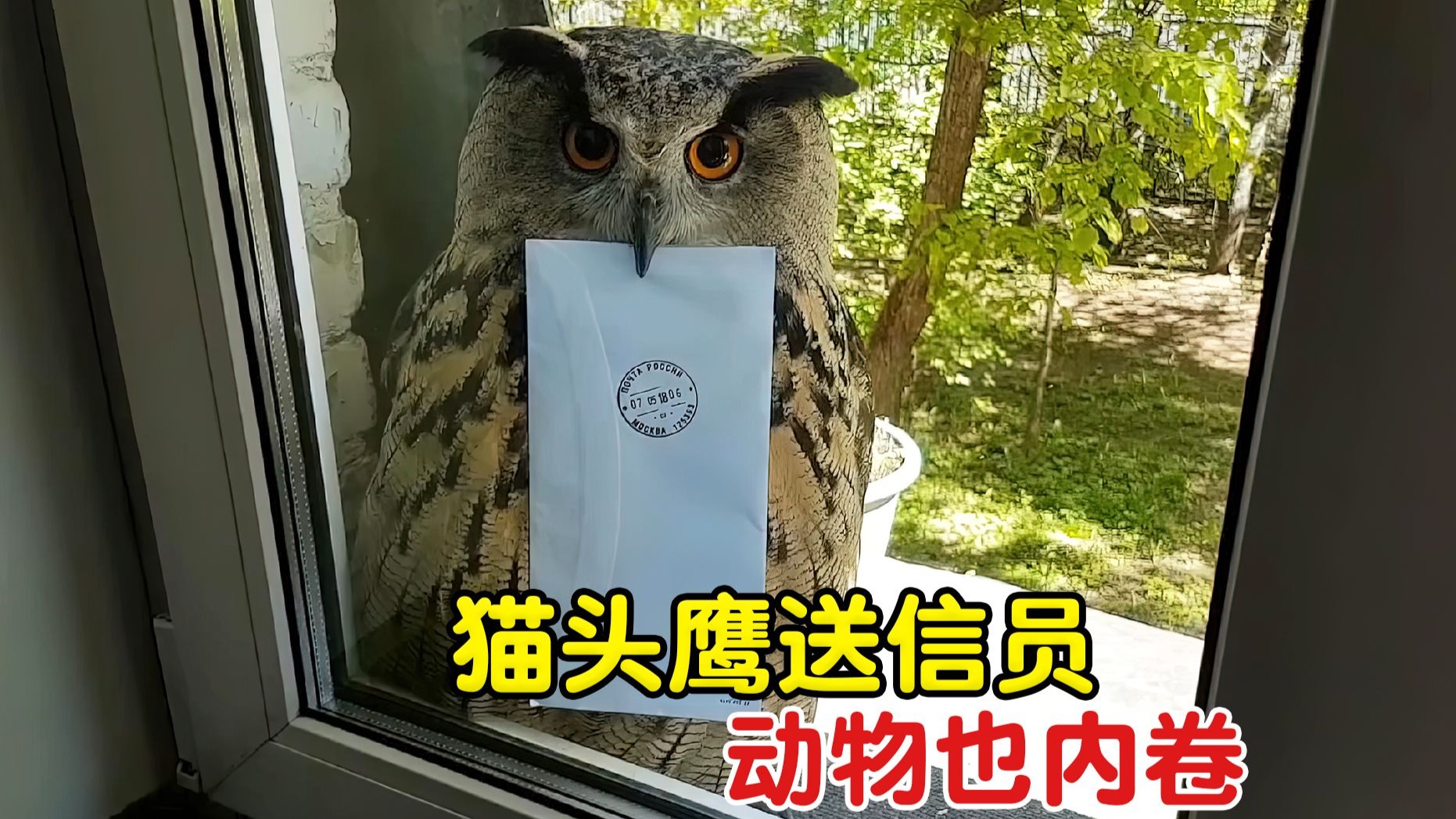 猫头鹰送信，可爱的同时还很专业，不出示取件码就不给信件