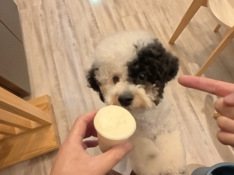 幸福属于知足的人~和小狗