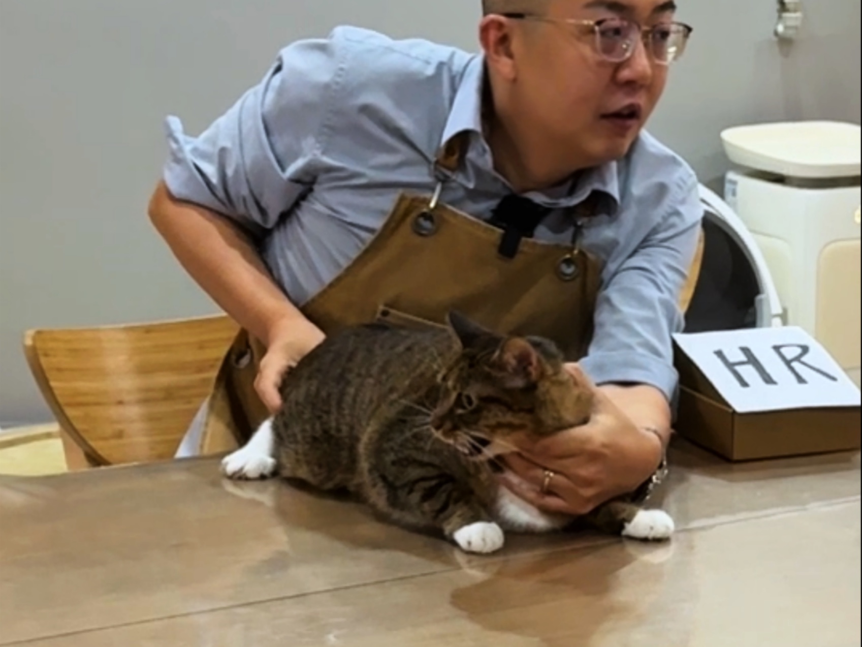 《羊入虎口？ 虎入羊群？》